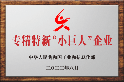 國(guó)家專(zhuān)精特新“小巨人”企業(yè)