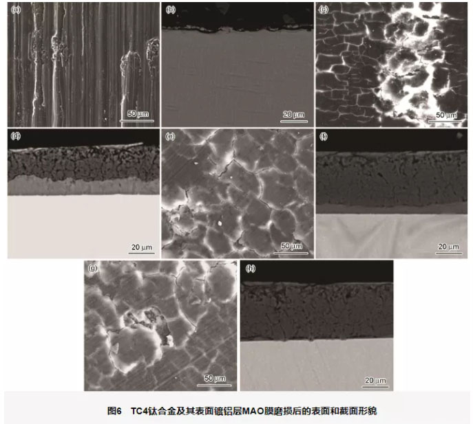 鈦合金及鈦合金鍍鋁層MAO不同時間的膜層與WC-Co球對磨后的表面和截面形貌 鈦合金及鈦合金鍍鋁層MAO不同時間的膜層與WC-Co球對磨后的表面和截面形貌