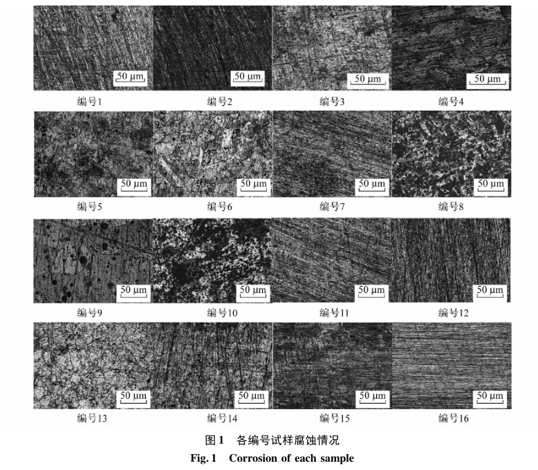 各編號(hào)試樣腐蝕情況 各編號(hào)試樣腐蝕情況