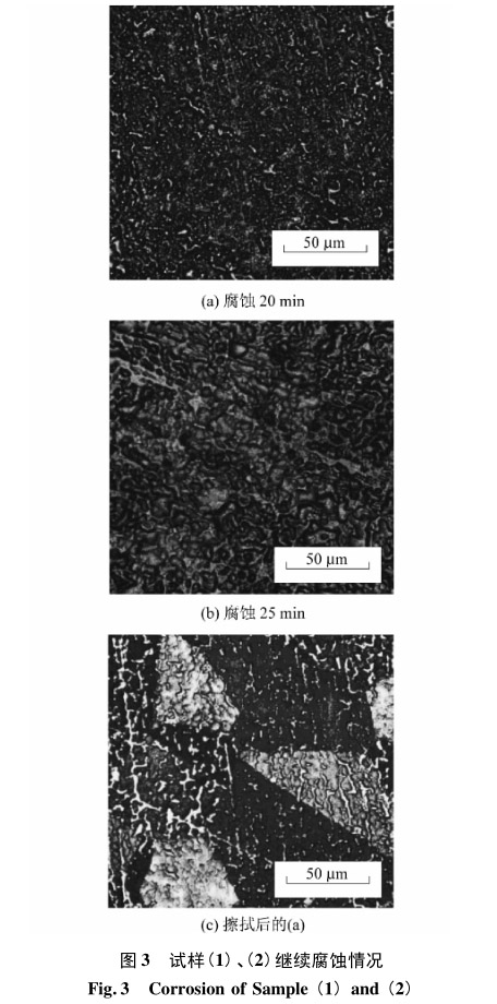 試樣(1)、(2)繼續(xù)腐蝕情況 試樣(1)、(2)繼續(xù)腐蝕情況