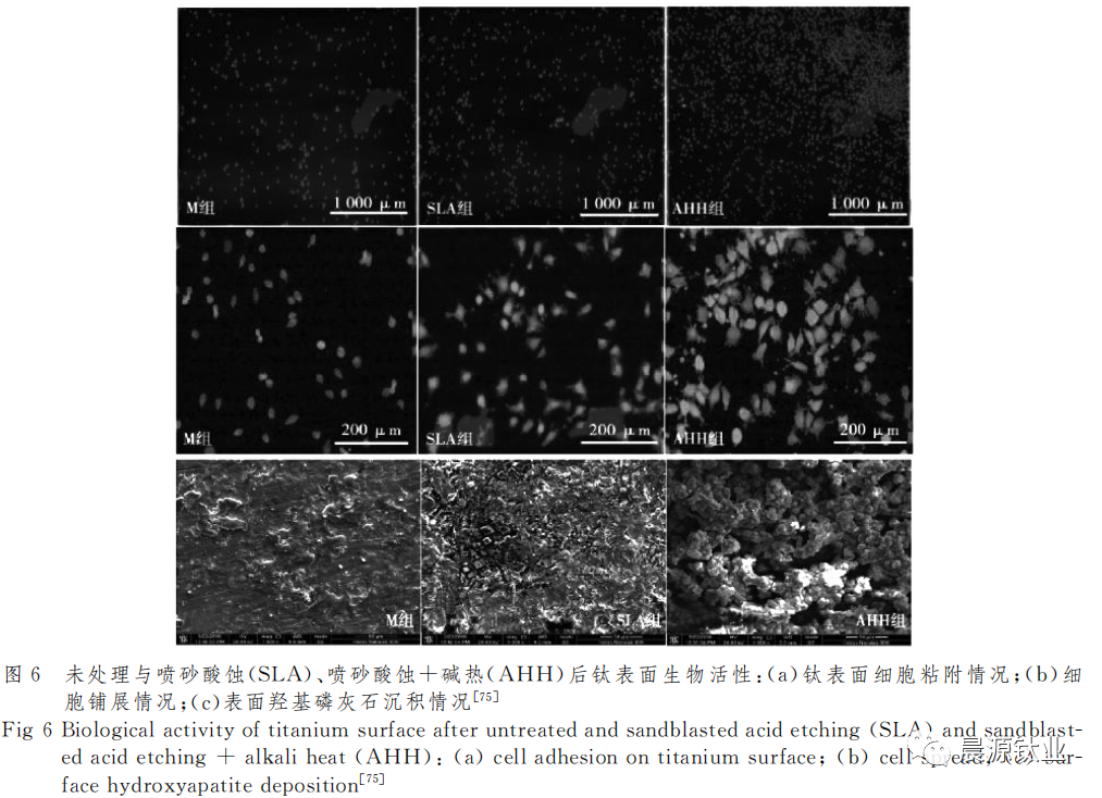 1692154907955223.png 9.png