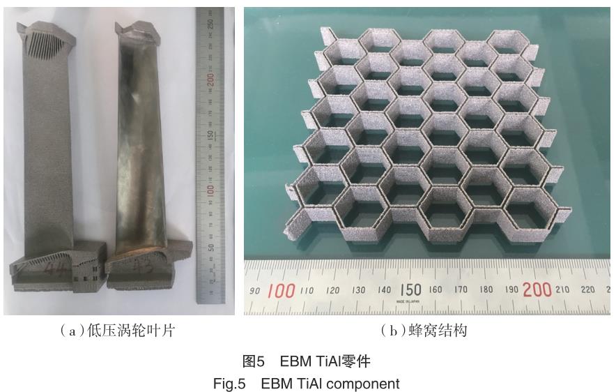 1692437085222428.jpg t5.jpg