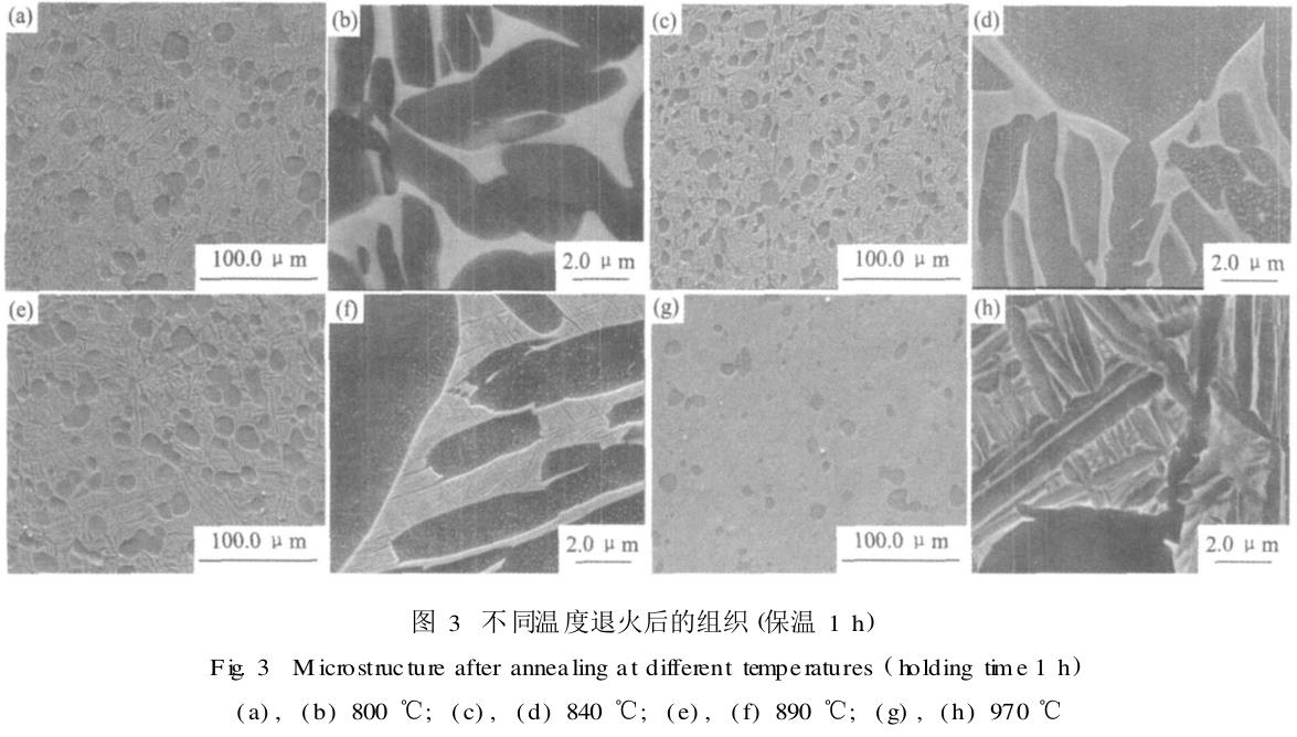 1694523192365580.jpg t3.jpg