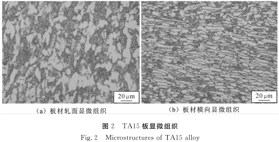 1696408020214277.jpg t2.jpg