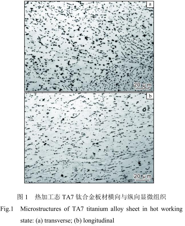 1705798046607322.jpg t1.jpg