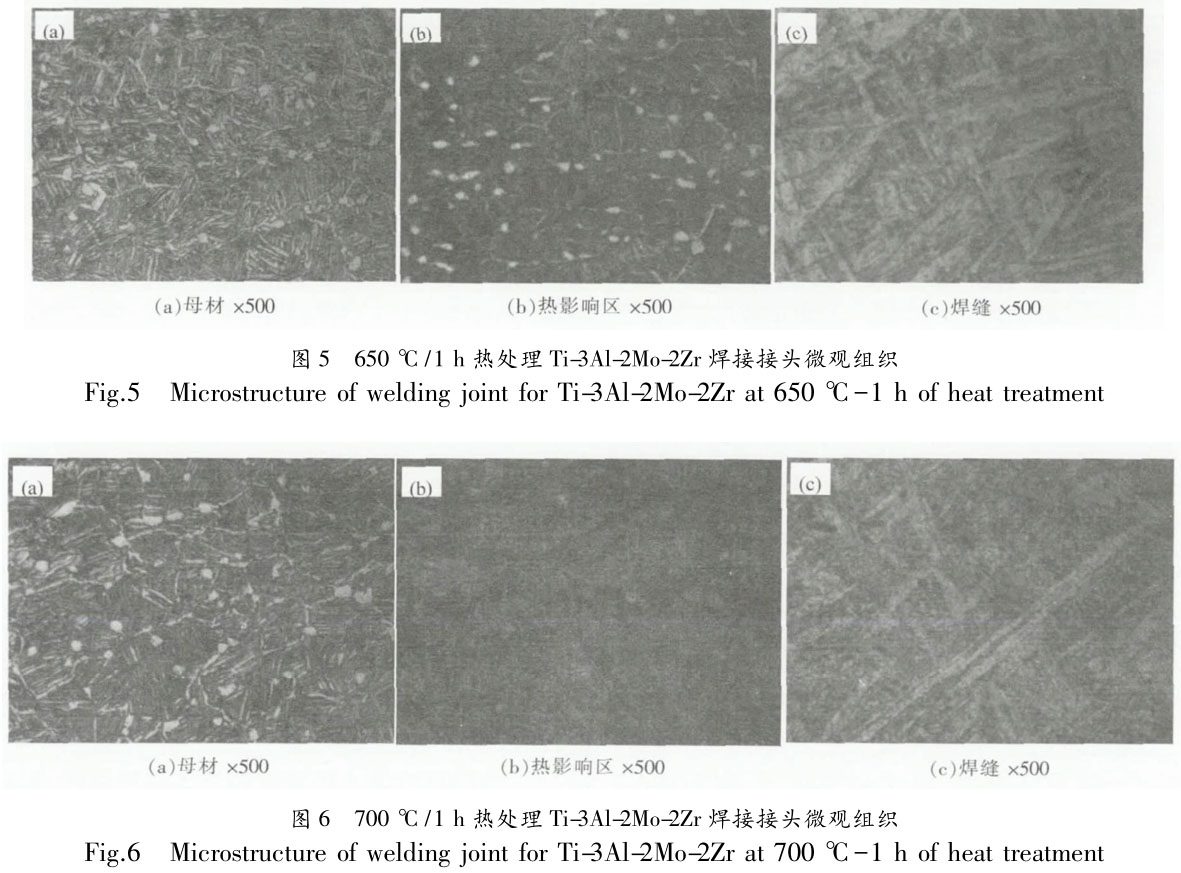 1706307871797206.jpg t5-6.jpg