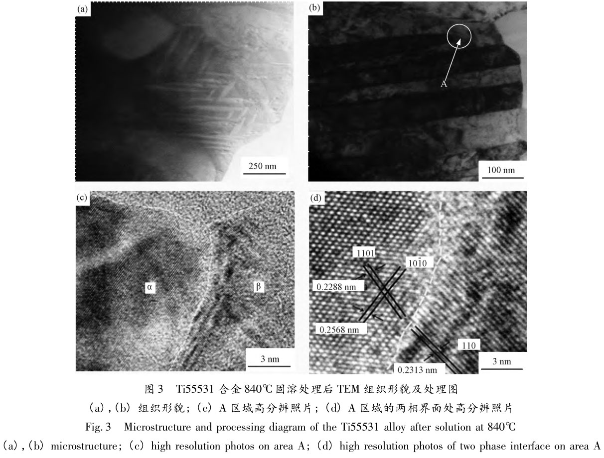 1708421037122064.jpg t3.jpg