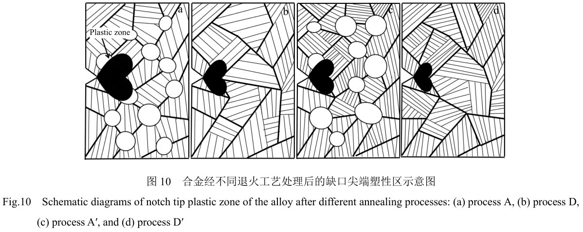 1708444196615074.jpg t10.jpg