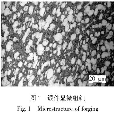 1711444704145657.jpg t1.jpg