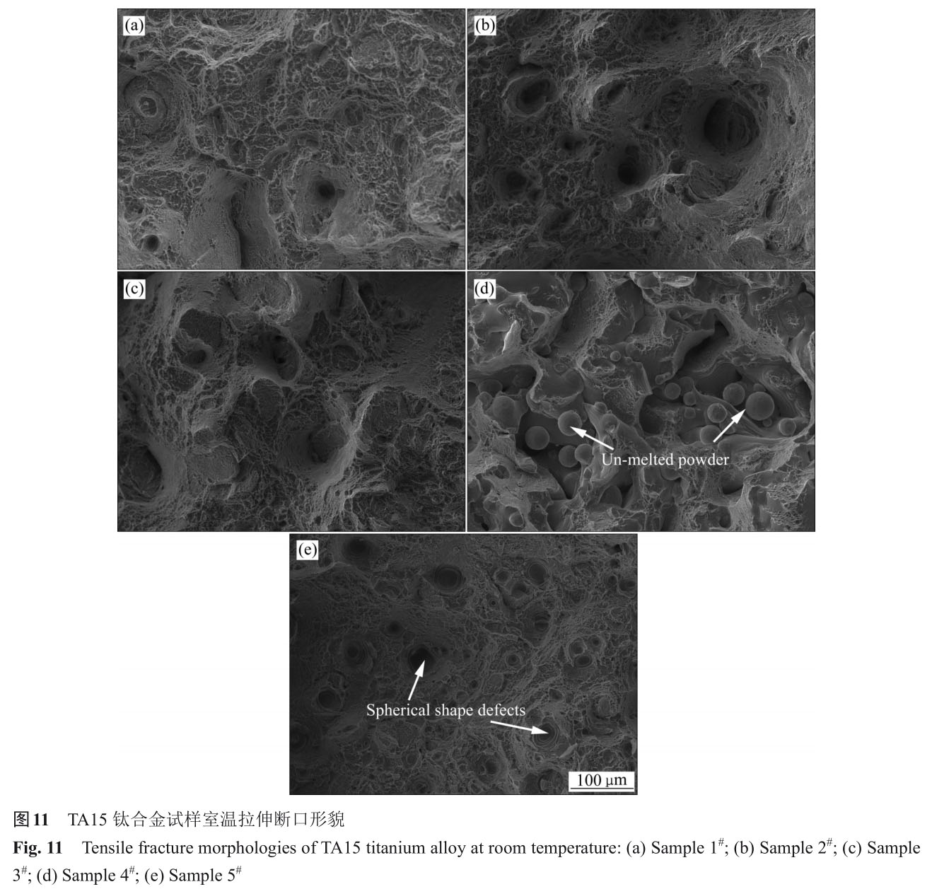 1721808954899304.jpg t11.jpg