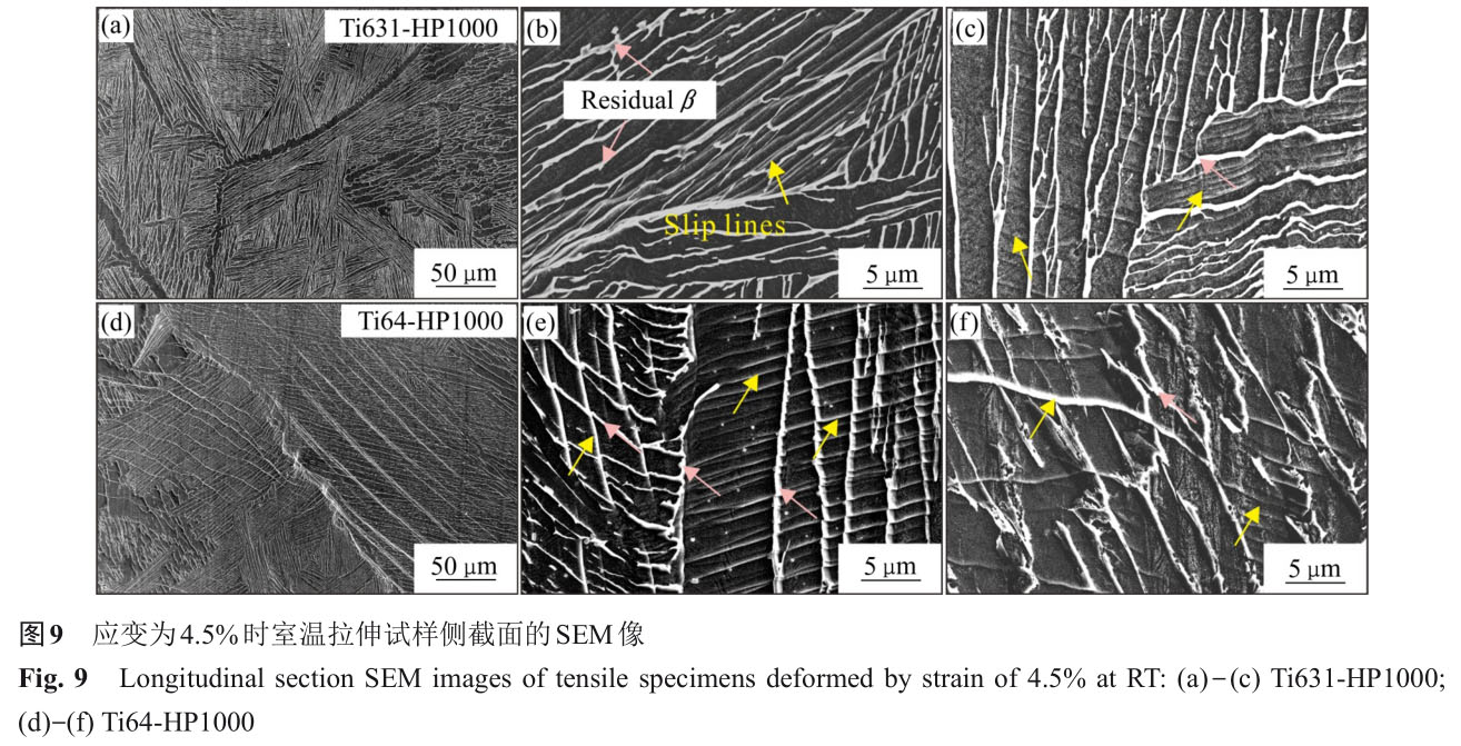 1723726820940619.jpg t9.jpg