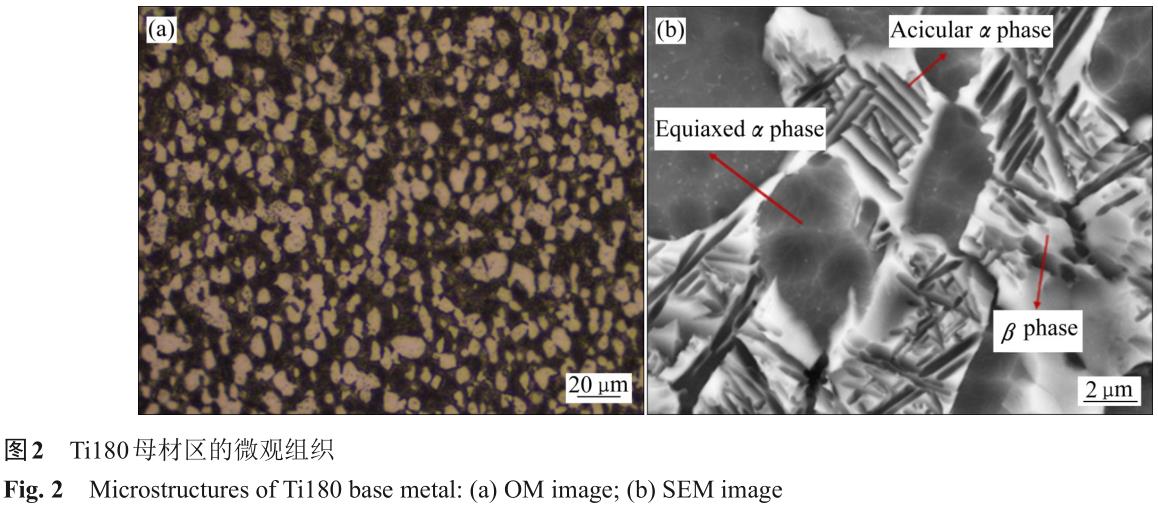 1723728876600858.jpg t2.jpg