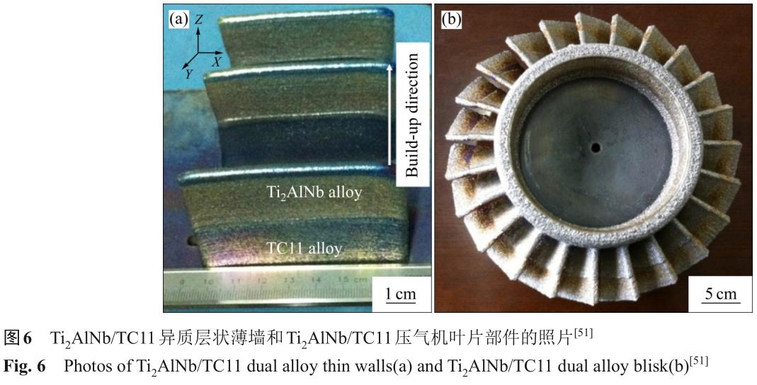 1724665059753846.jpg t6.jpg