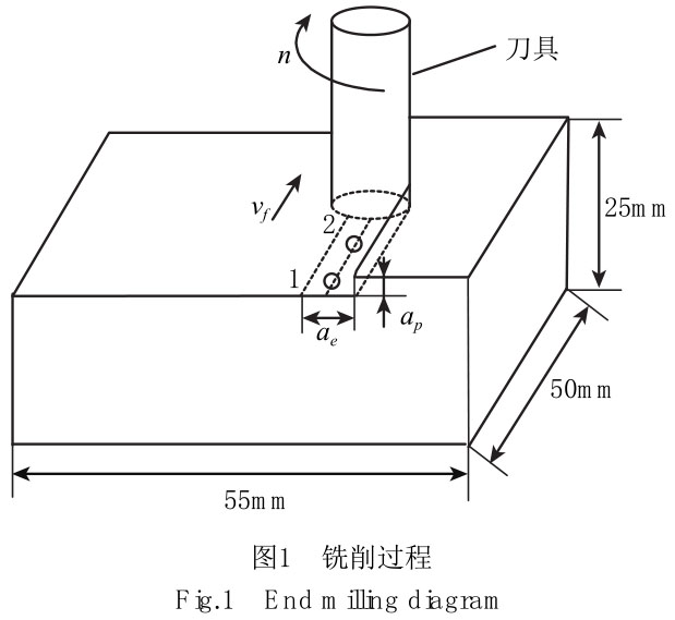 1724726225743192.jpg t1.jpg