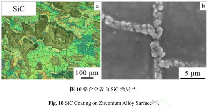 1729135270679968.jpg 10.jpg