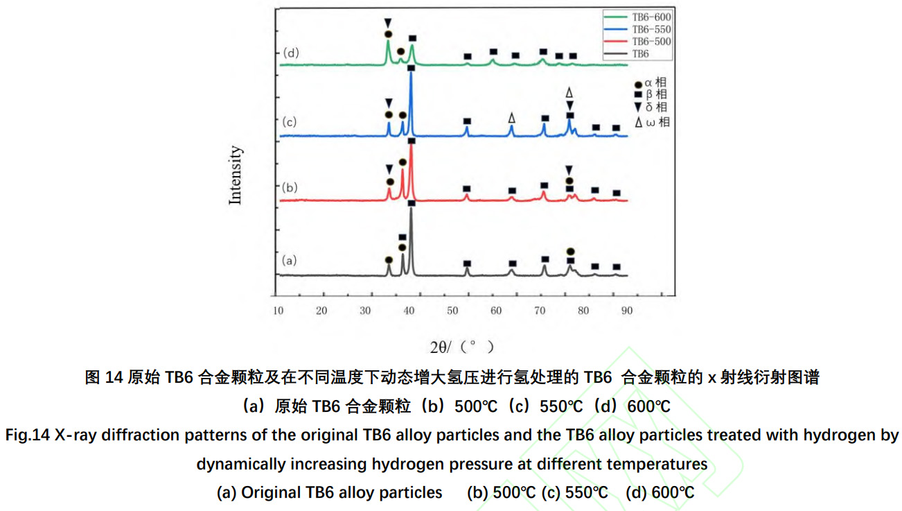 1734250712497942.jpg 14.jpg