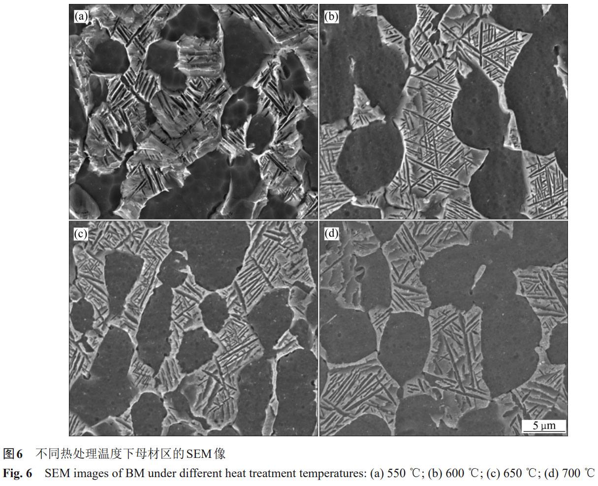 1759828706995555.jpg 未標(biāo)題-2.jpg