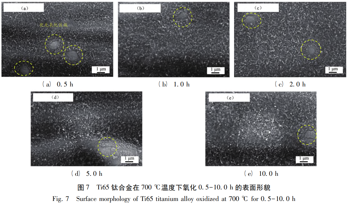 1762333701359117.png 截圖20251105165917.png