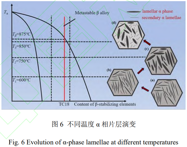 1765855631705083.png 截圖20251216110830.png