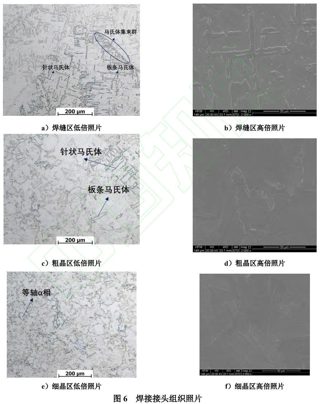 1766454843356091.jpg 6.jpg