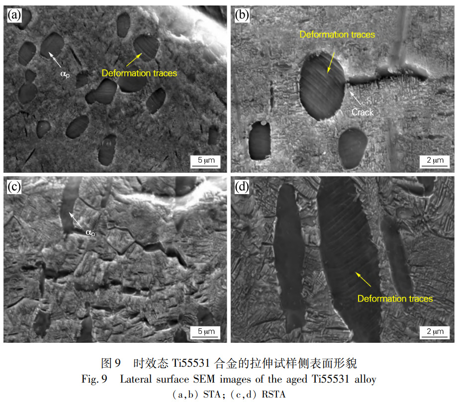 1766459538797306.jpg 未標題-2.jpg