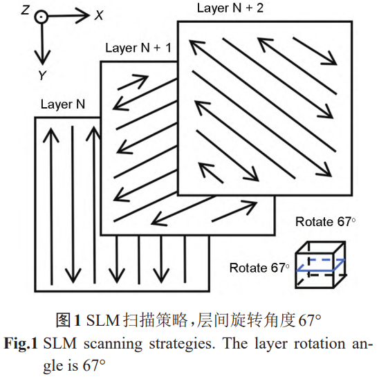 1768823783244106.png 1.png