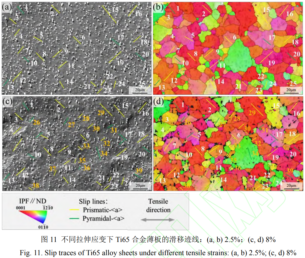 1769330647650223.png 11.png