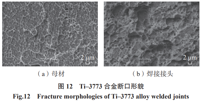 1772009463659414.png 12.png