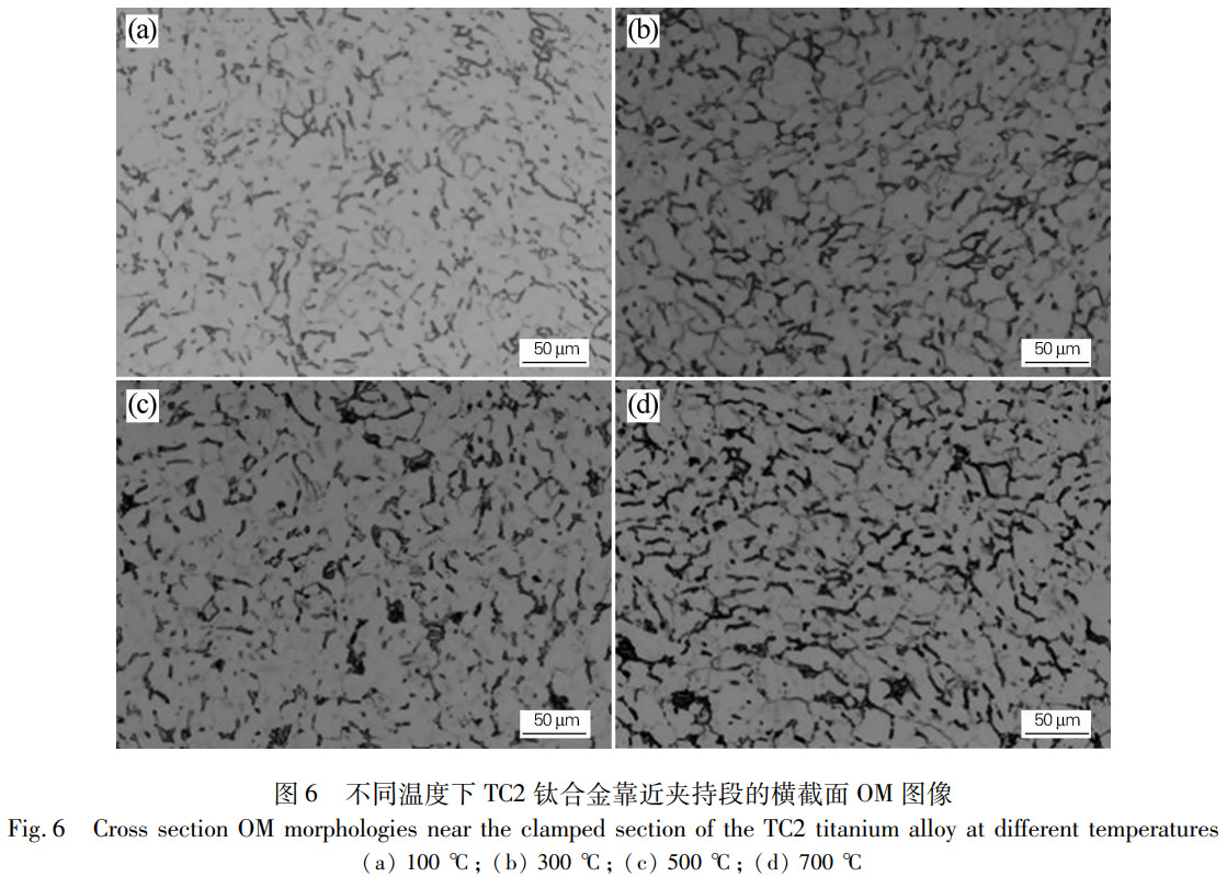 1772013531206162.jpg 6.jpg